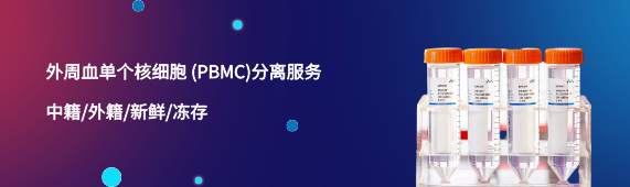 ADCC实验中不同效应细胞的比较及实际应用分析(图4)